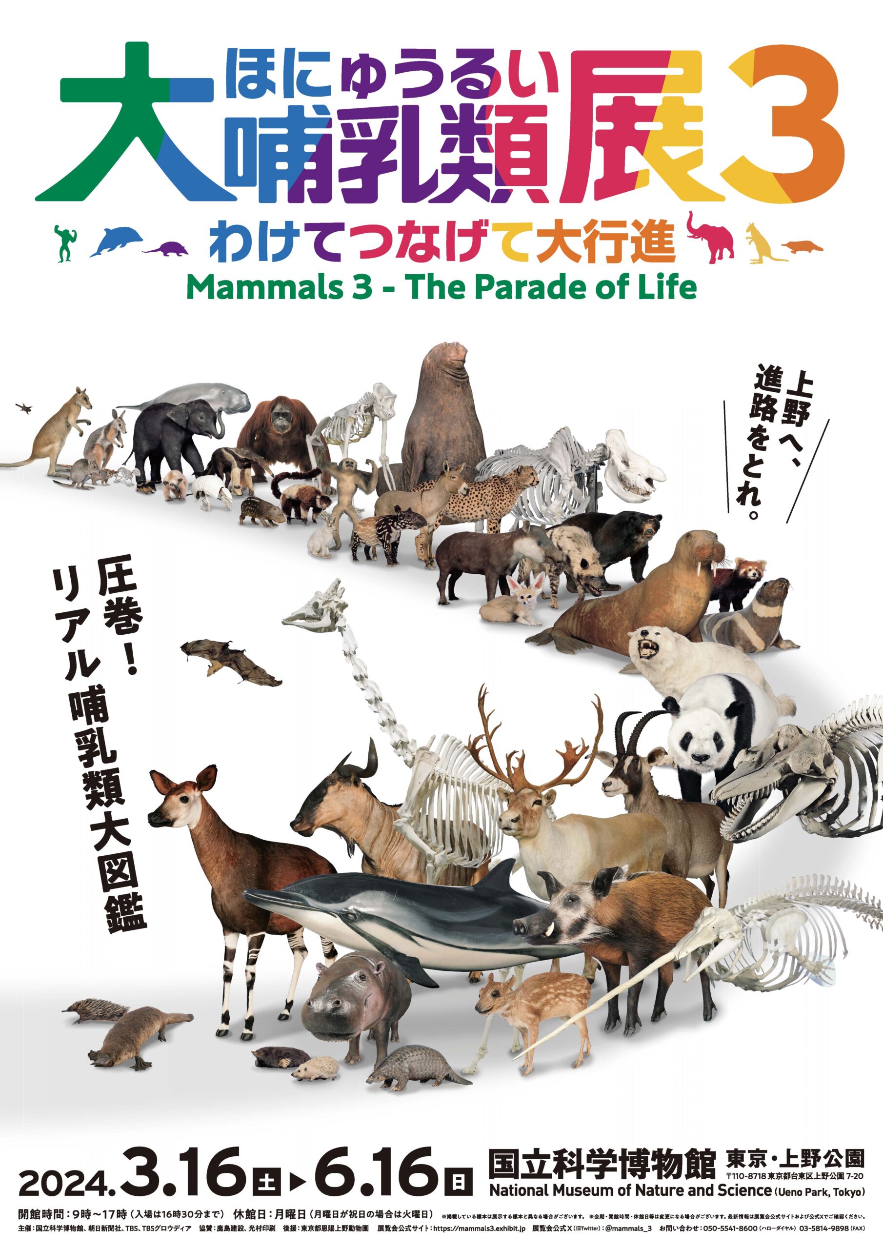 大哺乳類展3 　無料観覧券2枚 大哺乳類展３－わけてつなげて大行進 | TBS GLOWDIA