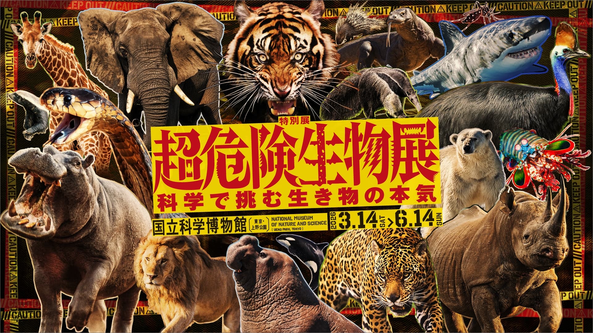 超危険生物展 | TBS GLOWDIA